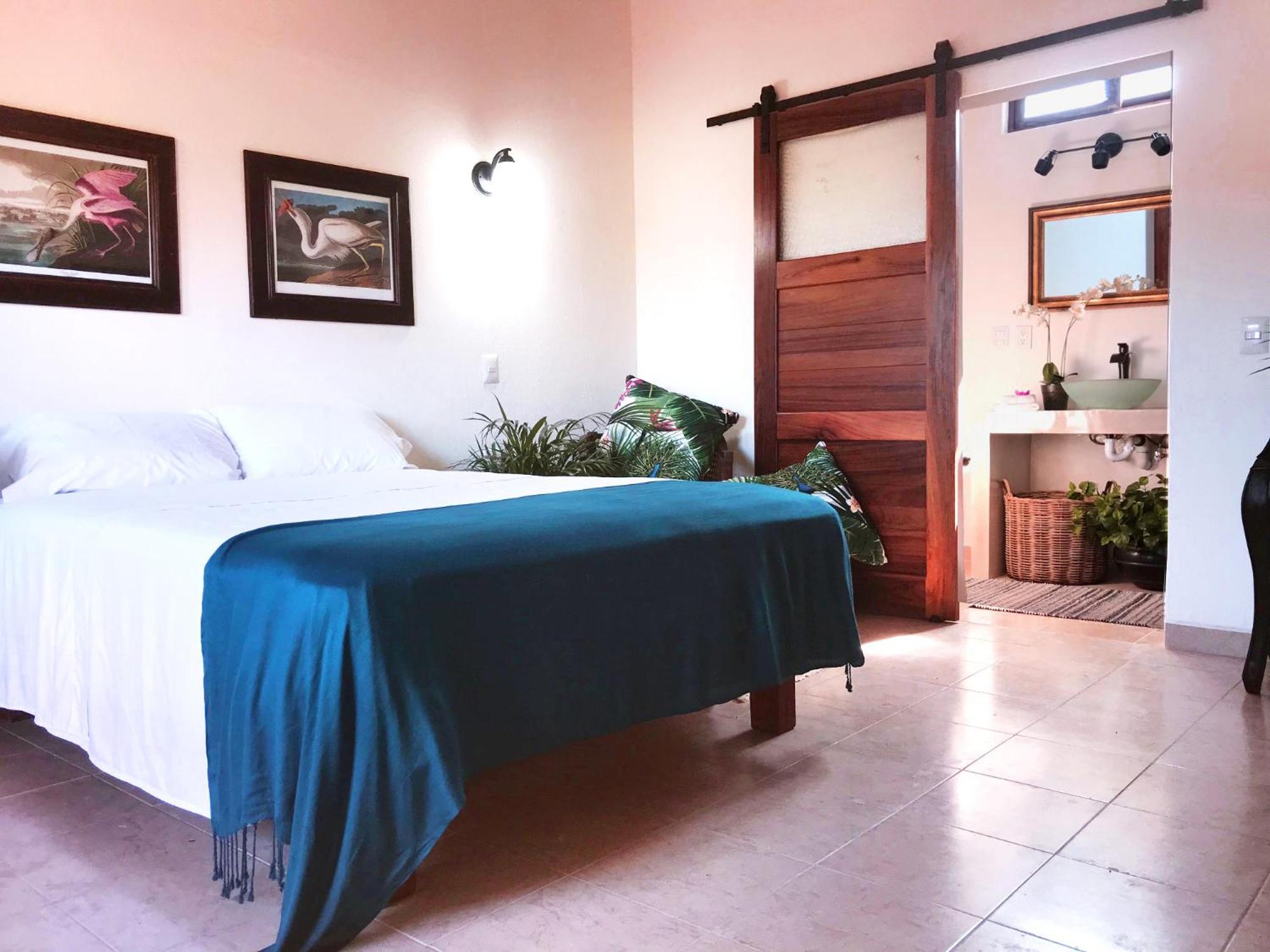 فندق Casa Botanica لو دي ماركوس المظهر الخارجي الصورة