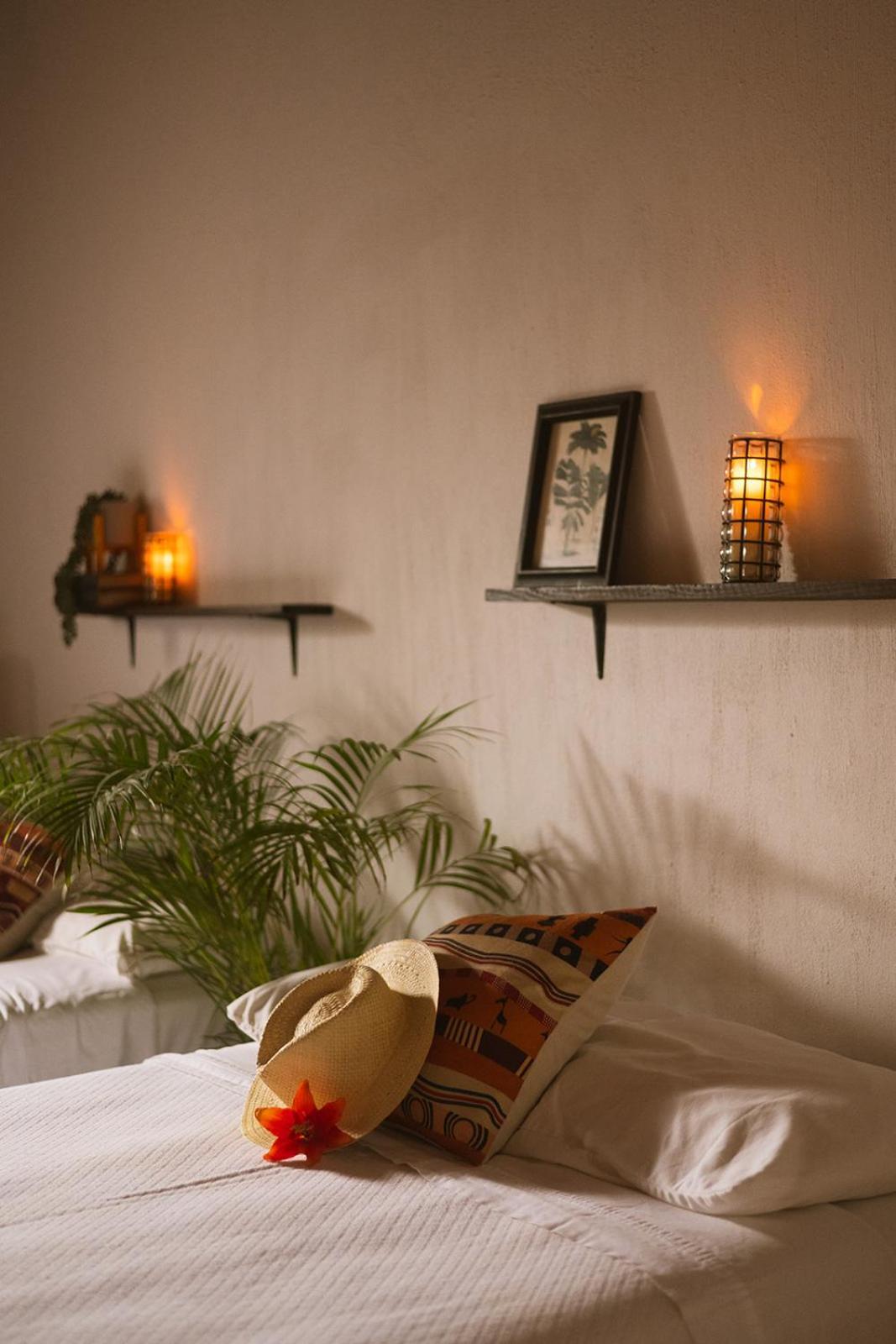 فندق Casa Botanica لو دي ماركوس المظهر الخارجي الصورة