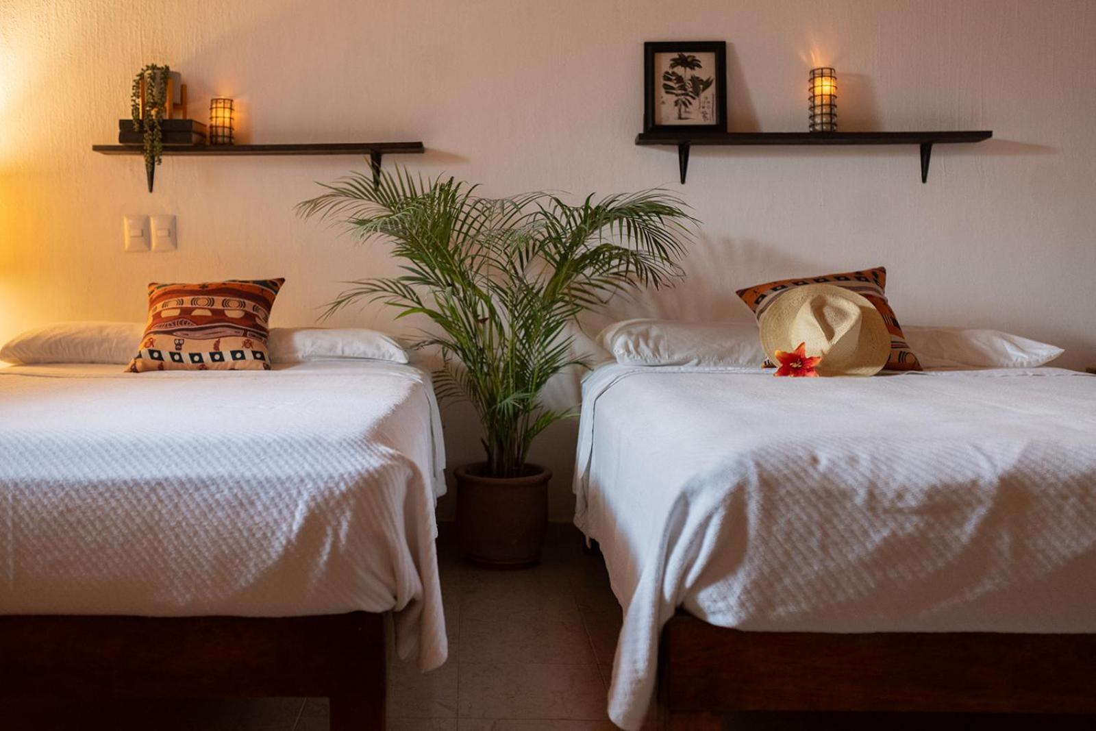 فندق Casa Botanica لو دي ماركوس المظهر الخارجي الصورة