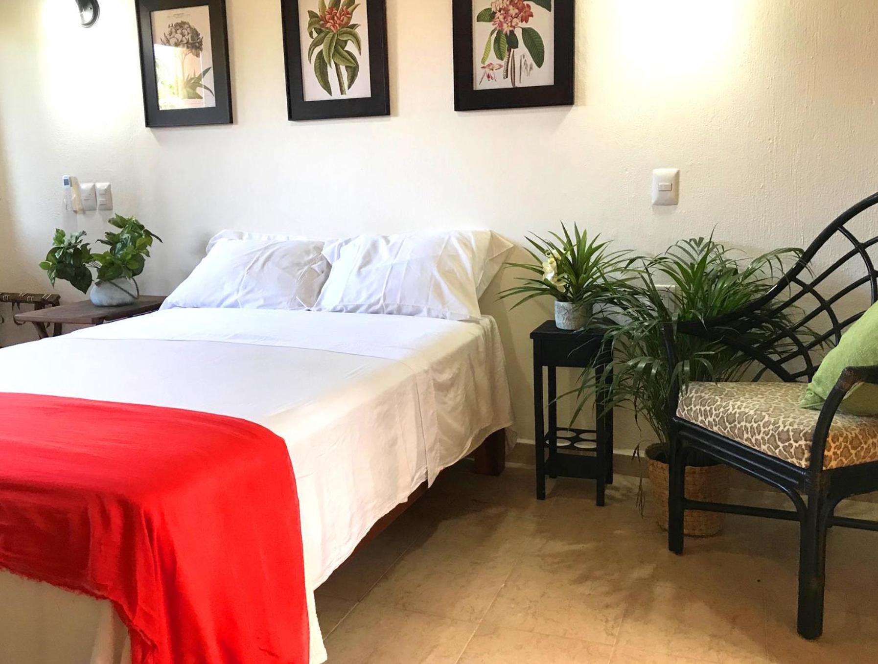 فندق Casa Botanica لو دي ماركوس المظهر الخارجي الصورة