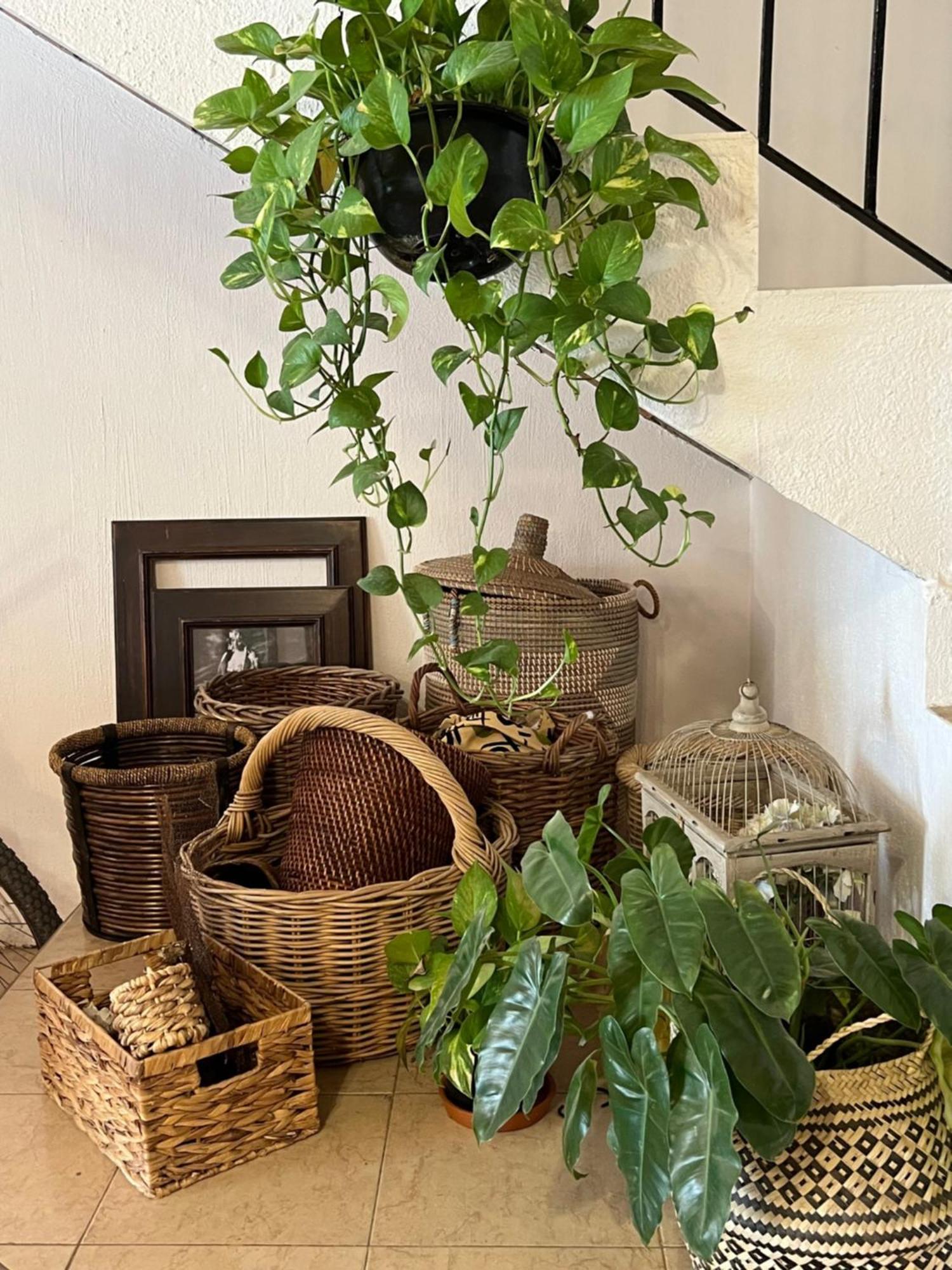 فندق Casa Botanica لو دي ماركوس المظهر الخارجي الصورة