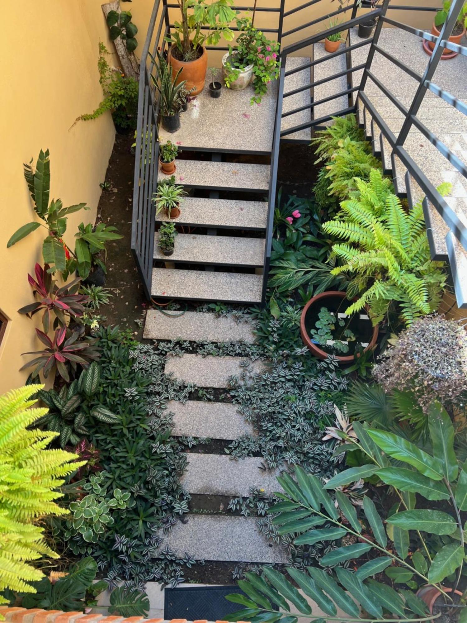 فندق Casa Botanica لو دي ماركوس المظهر الخارجي الصورة