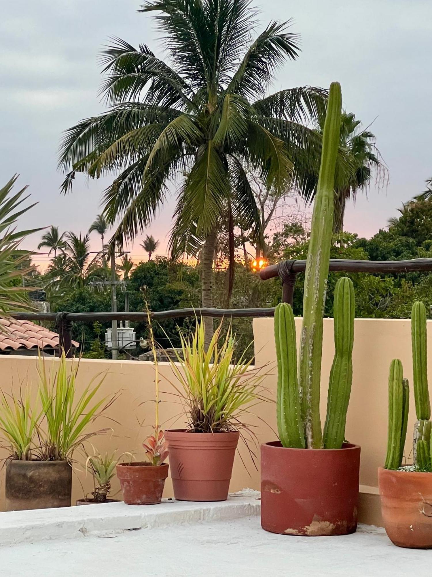 فندق Casa Botanica لو دي ماركوس المظهر الخارجي الصورة