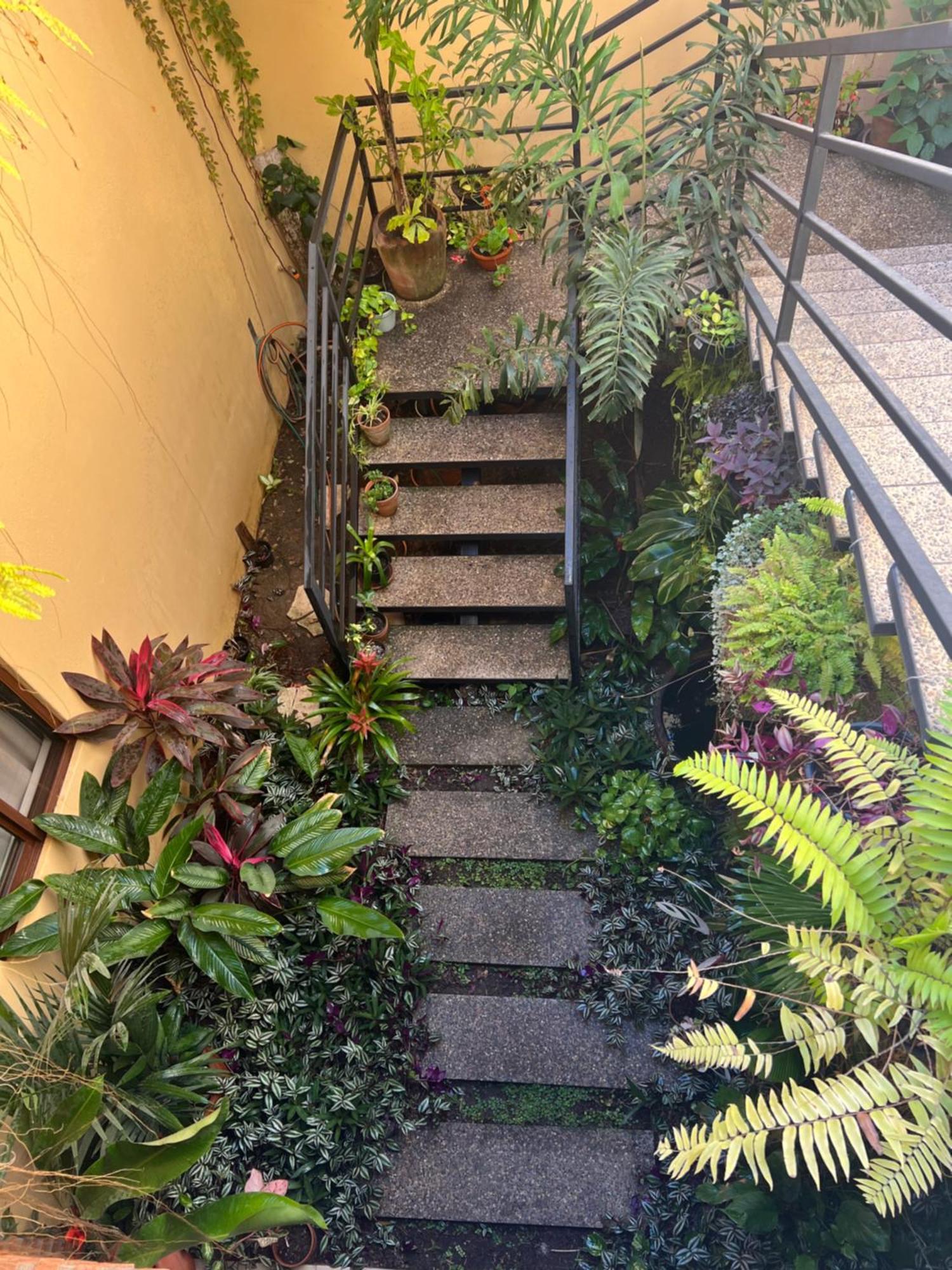 فندق Casa Botanica لو دي ماركوس المظهر الخارجي الصورة