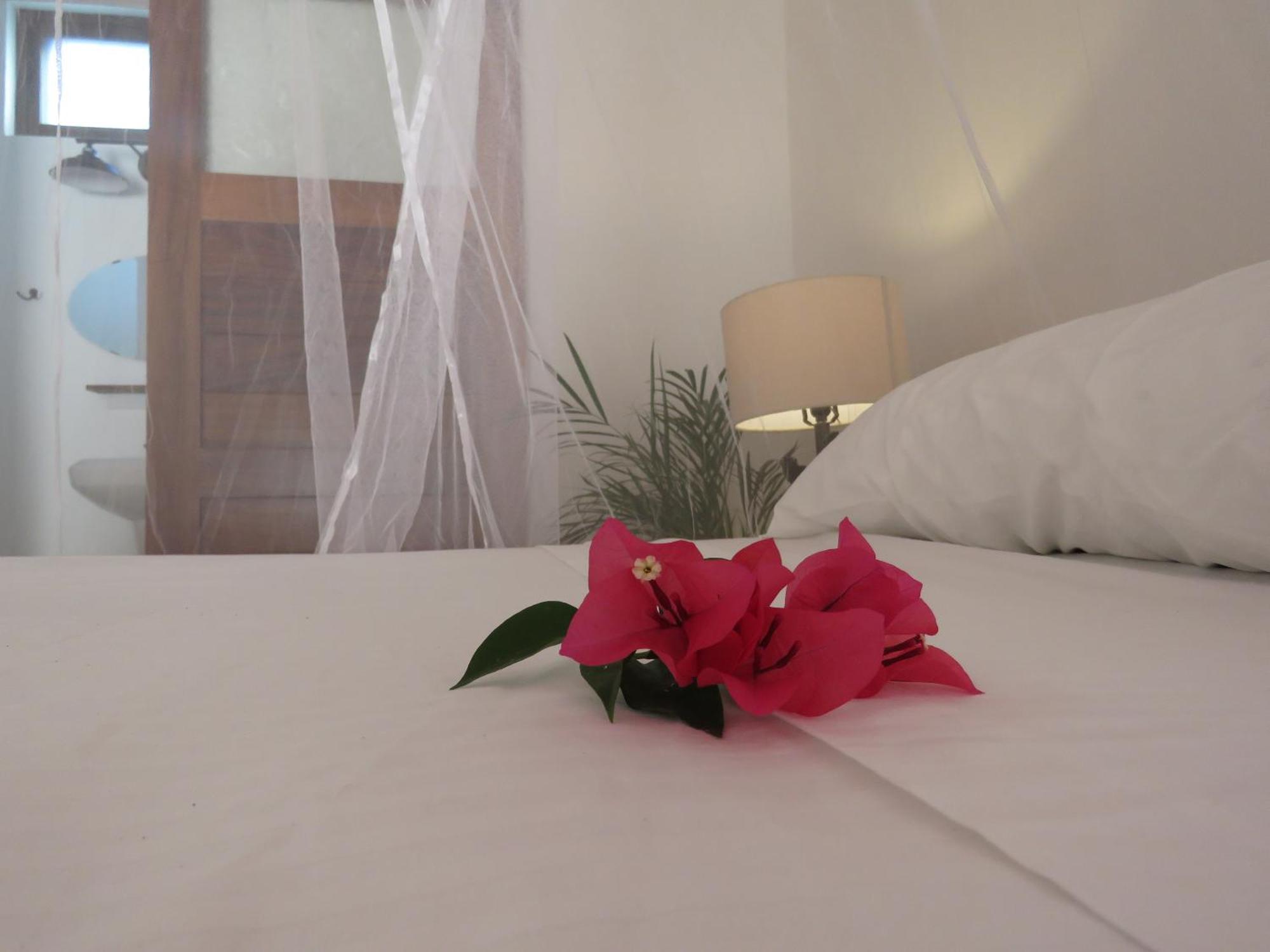 فندق Casa Botanica لو دي ماركوس المظهر الخارجي الصورة