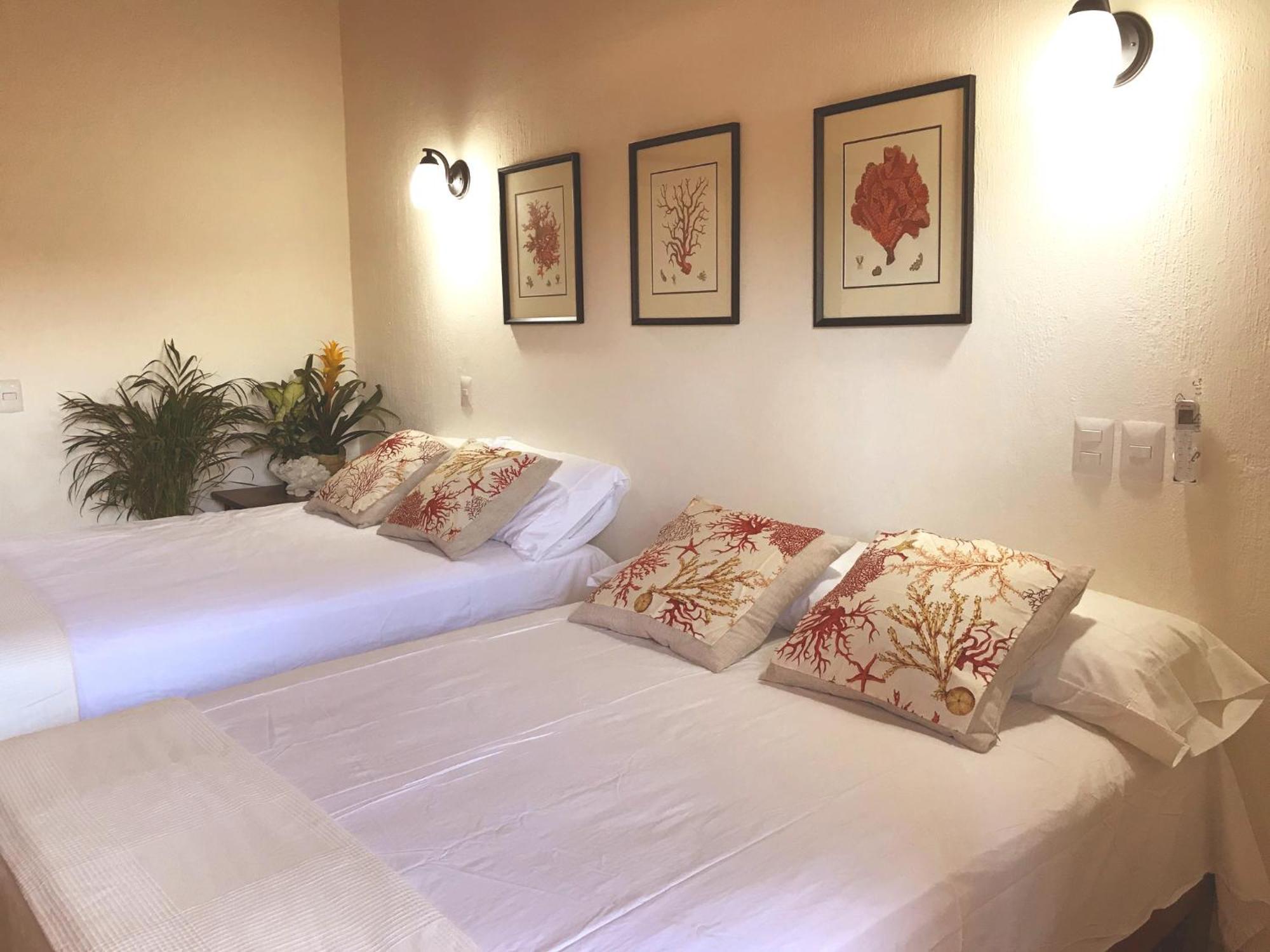 فندق Casa Botanica لو دي ماركوس المظهر الخارجي الصورة